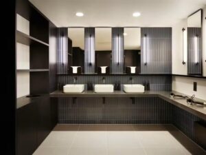 Corporate Office Washroom